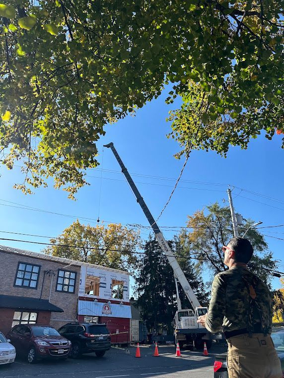 Choosing a crane rental with operator helps contractors complete structural lifts safely while keeping projects on schedule.